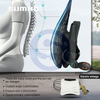 Soporte lumbar el&eacute;ctrico material de los PP de la ayuda lumbar del Multi-airbag del asiento de coche
